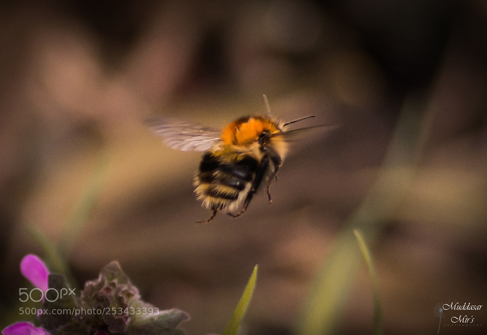 Nikon D7200 sample photo. Untitled photography