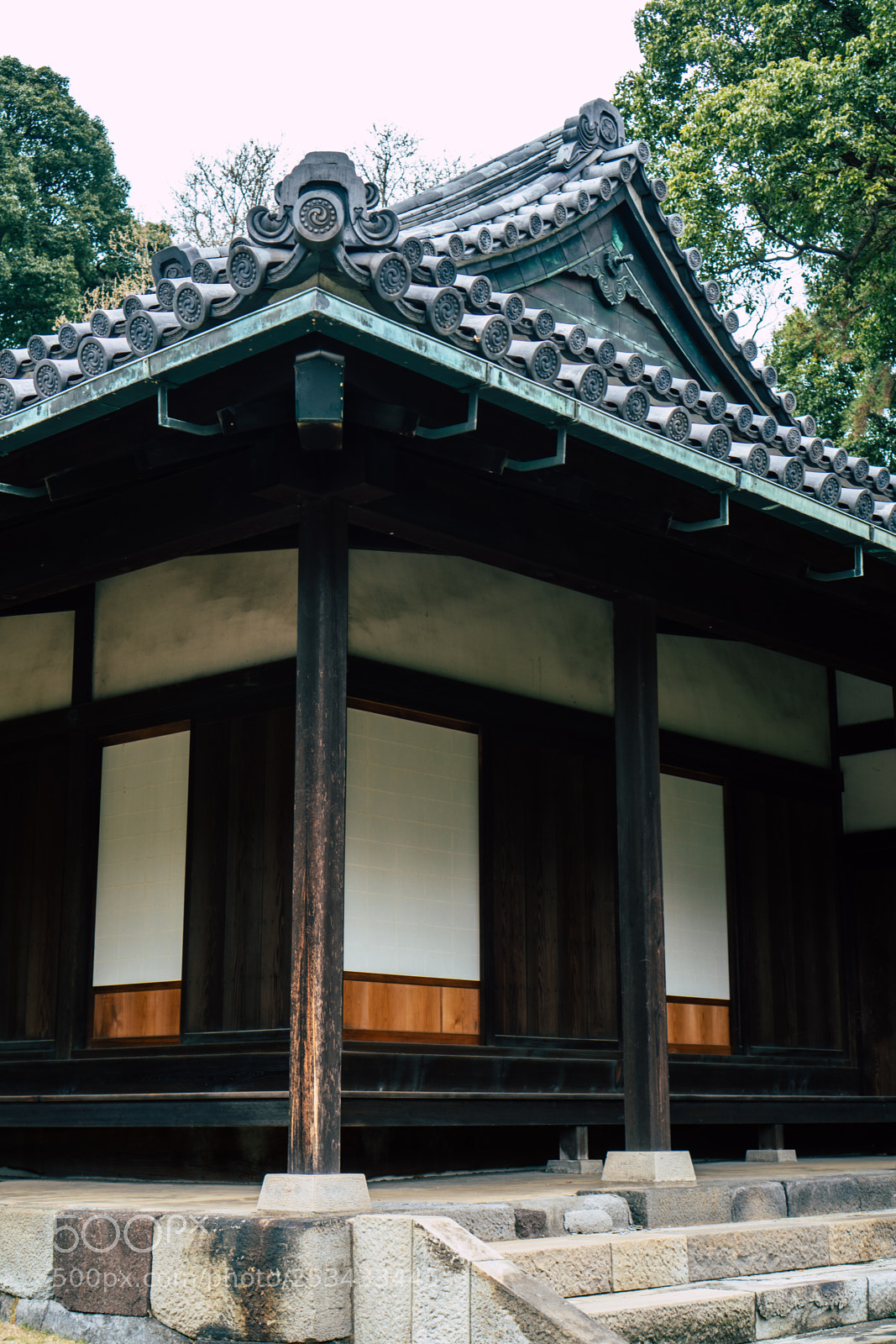 Sony a6300 sample photo. Wood photography