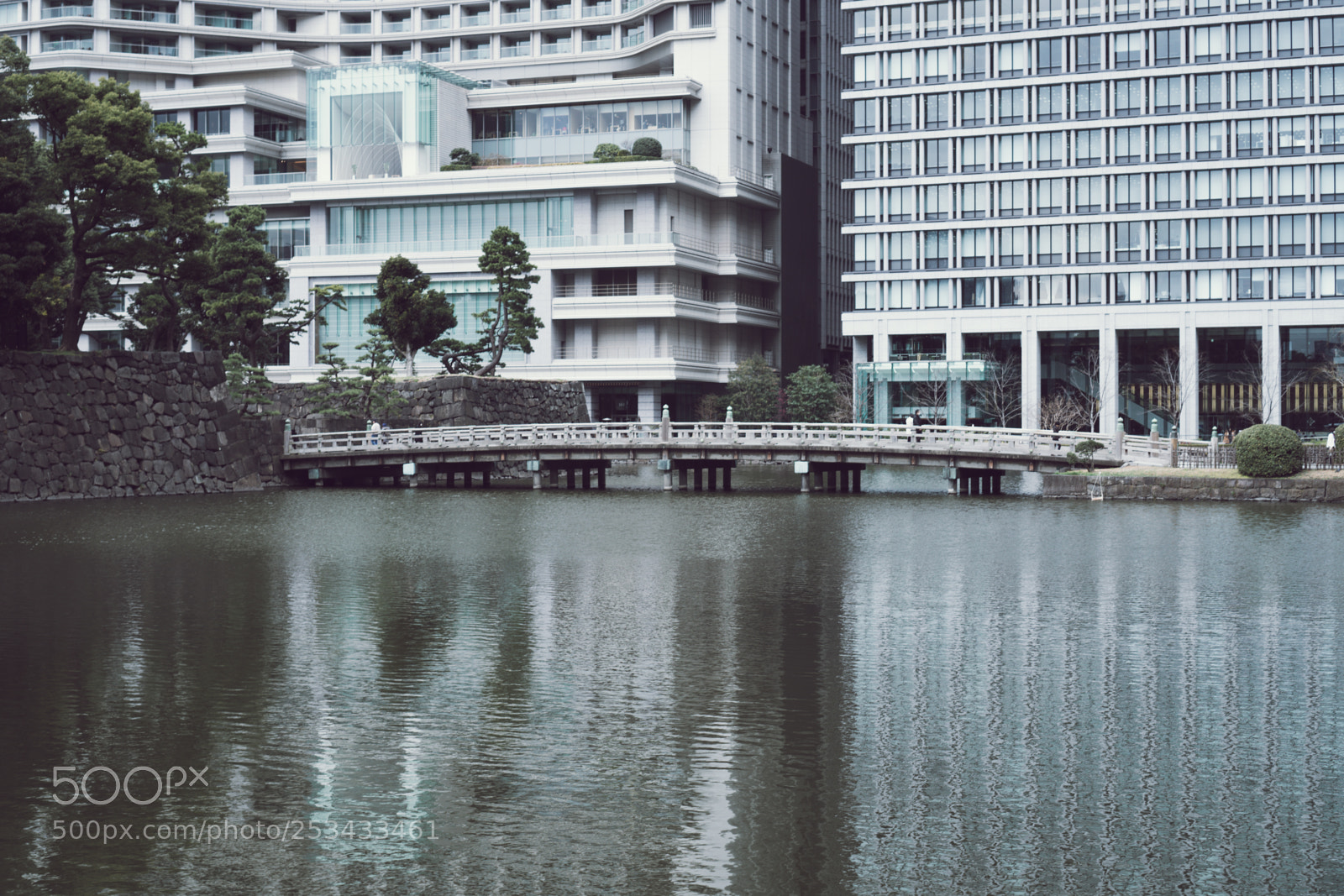 Sony a6300 sample photo. Bridge photography