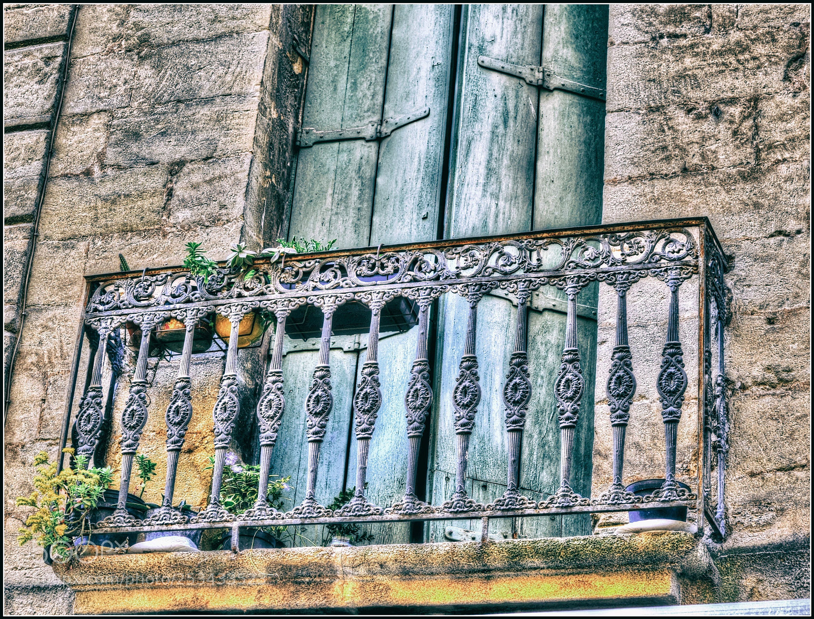 Nikon D700 sample photo. B a l k photography