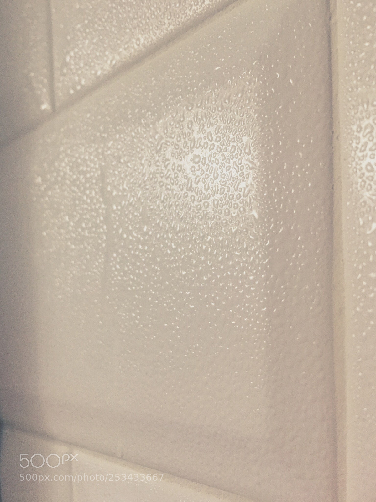 Apple iPhone 6 sample photo. Untitled photography