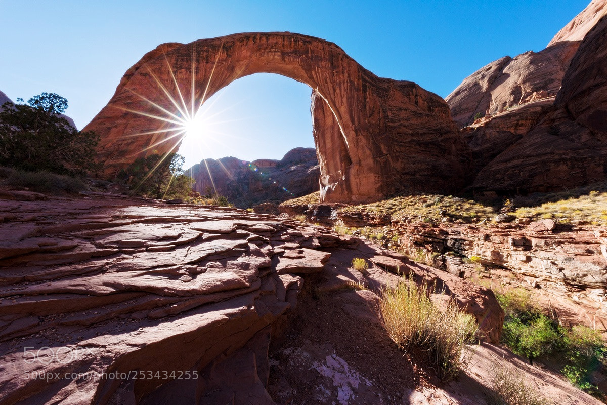 Canon EOS 5D Mark IV sample photo. Rainbow bridge photography