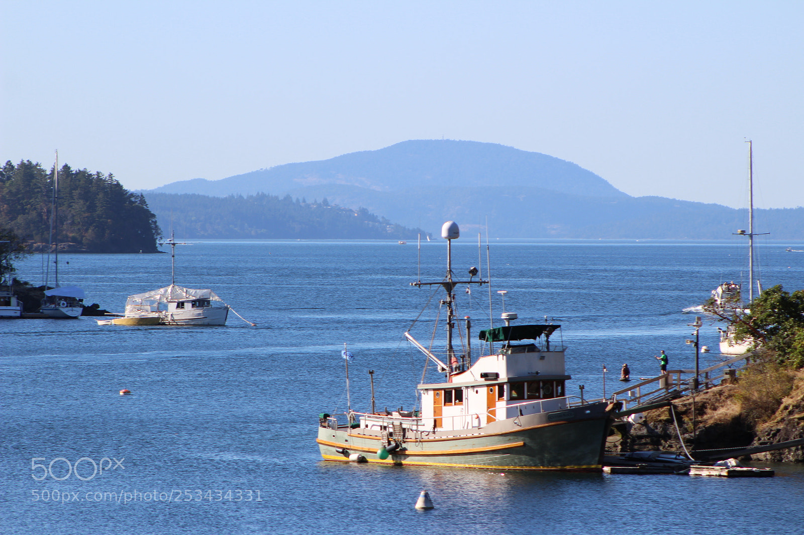 Canon EF 75-300mm f/4-5.6 sample photo. Img photography