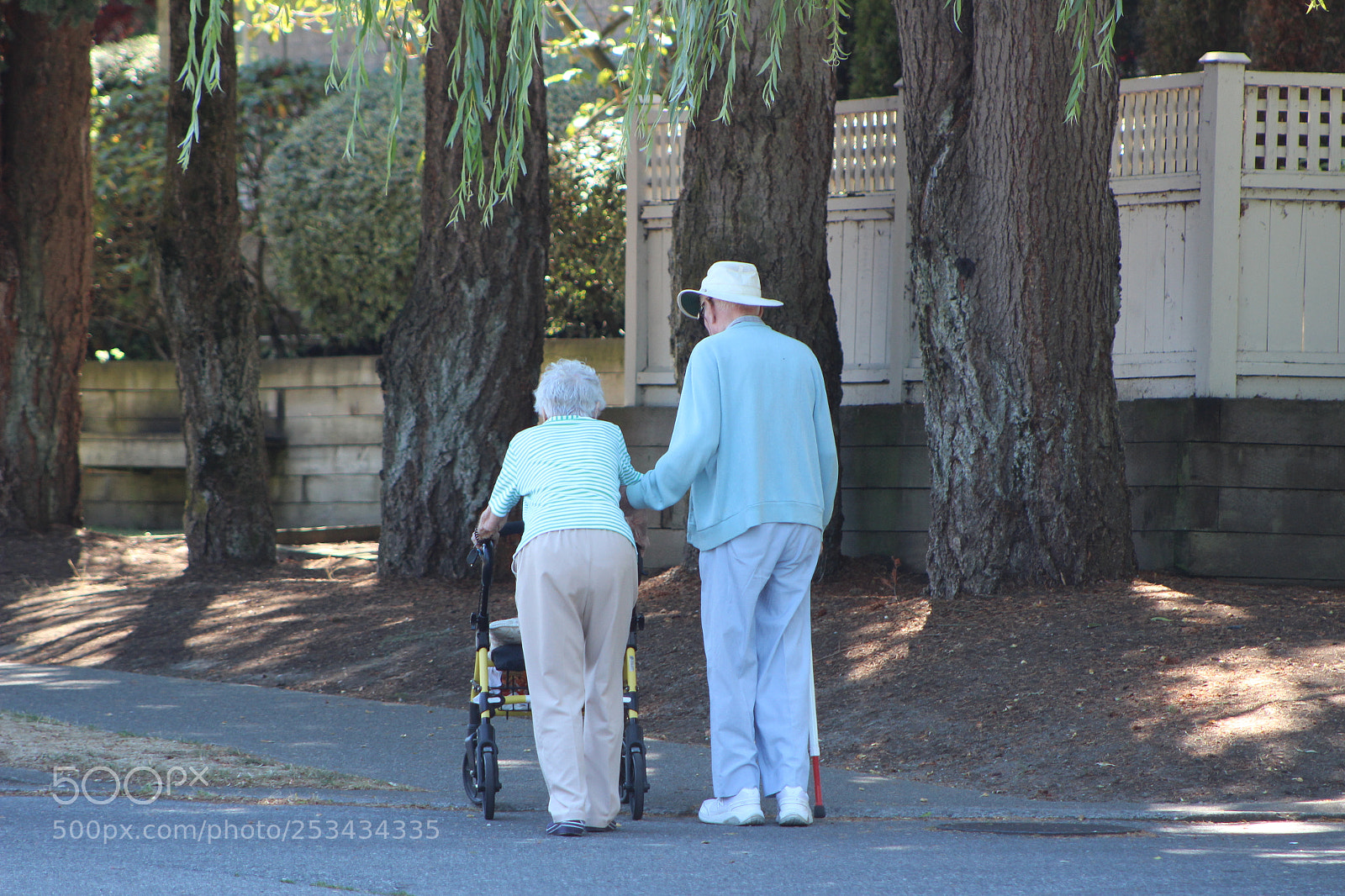 Canon EF 75-300mm f/4-5.6 sample photo. Img photography