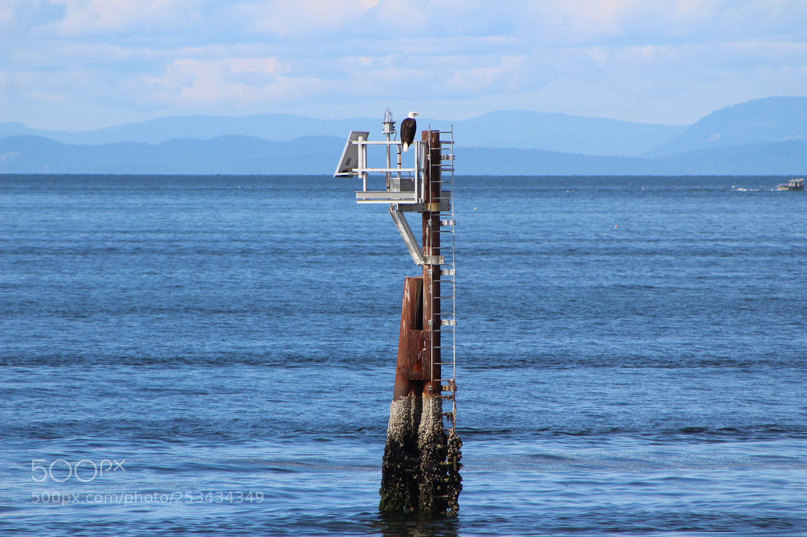 Canon EF 75-300mm f/4-5.6 sample photo. Img photography