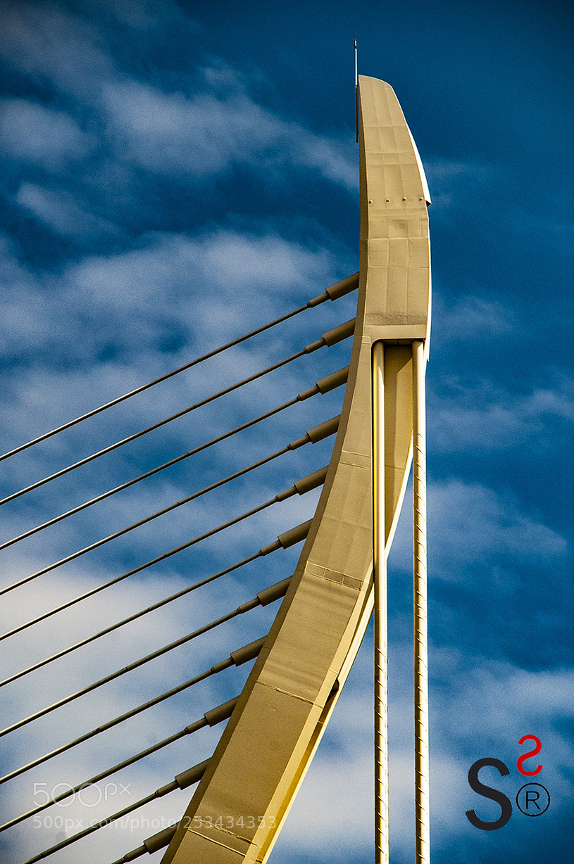 Nikon D700 sample photo. Fg 34 photography