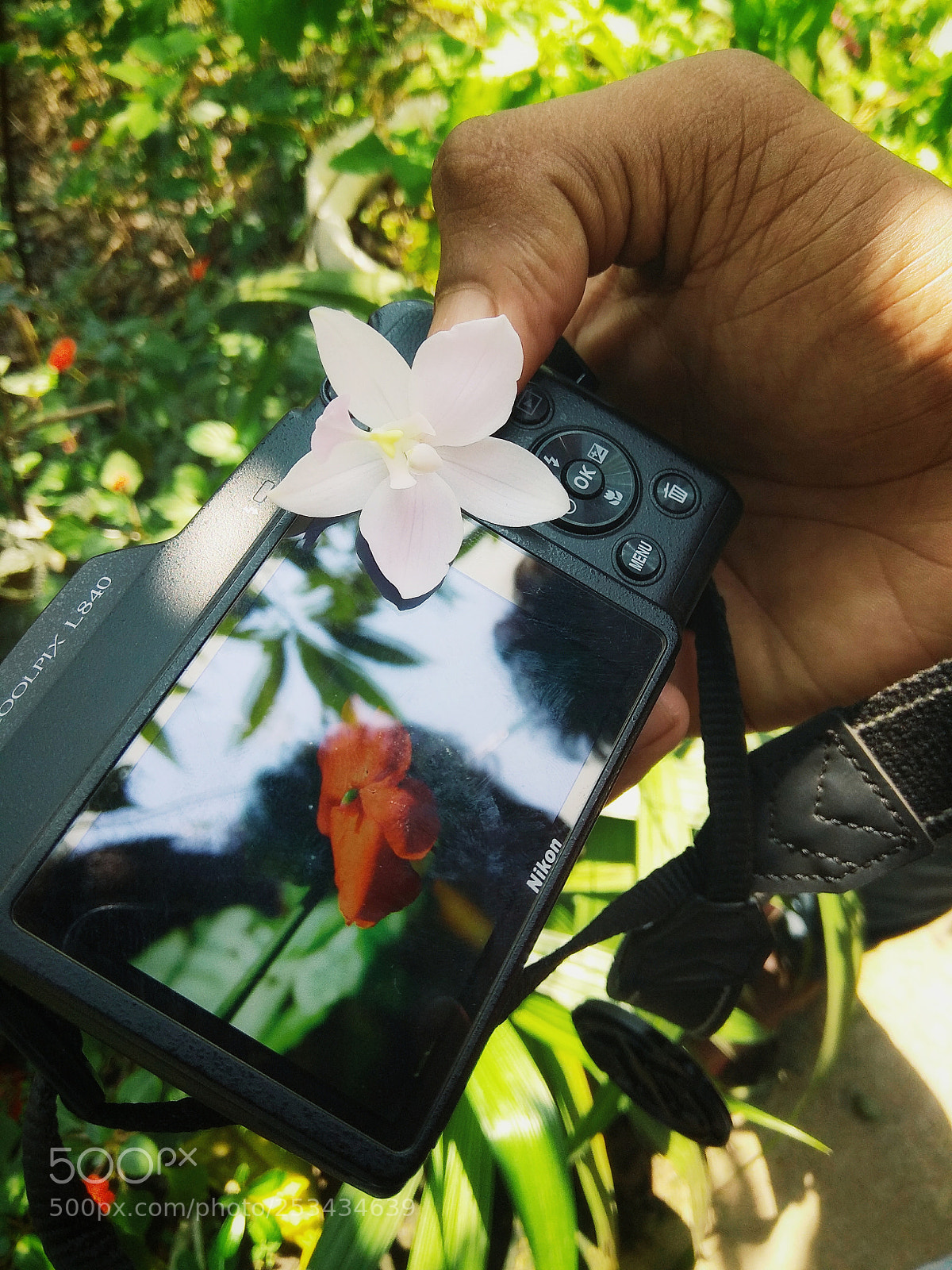 Xiaomi Redmi Note 4 sample photo. Enthusiasm photography