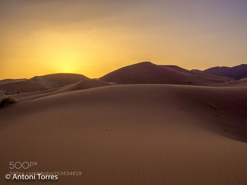 Olympus OM-D E-M1 Mark II sample photo. El sol s'amaga derrere photography