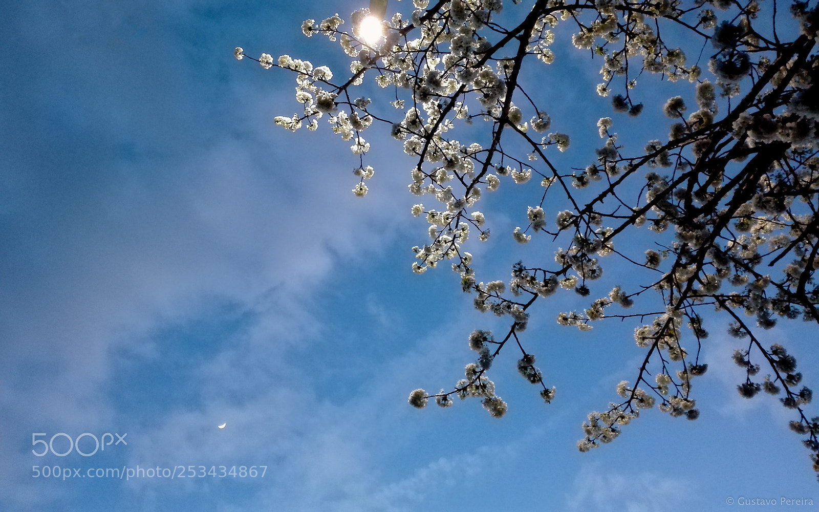 HUAWEI P8 Lite sample photo. Time to be reborn photography