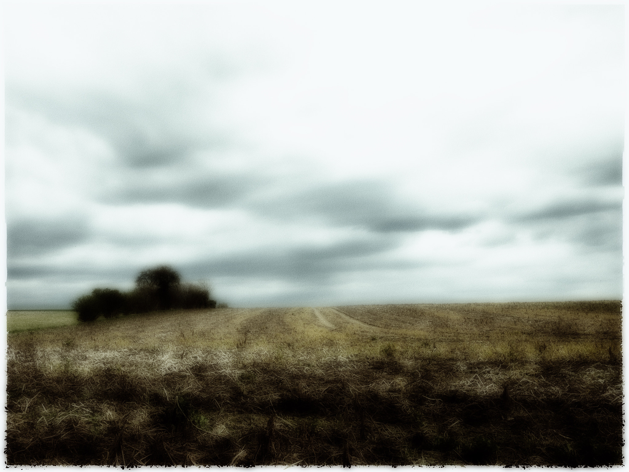 Panasonic Lumix DMC-GF1 sample photo. Pajottenland photography