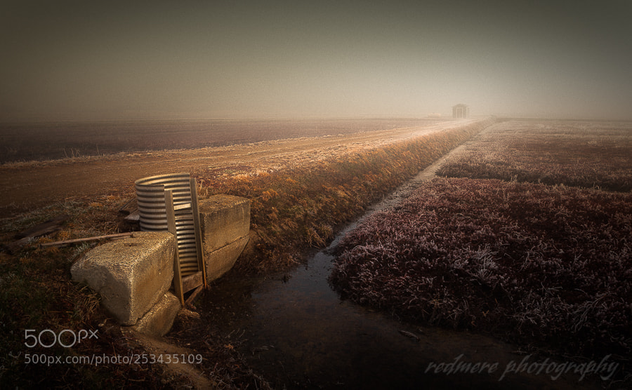 Canon EOS 5D Mark II sample photo. Cranberry frost photography