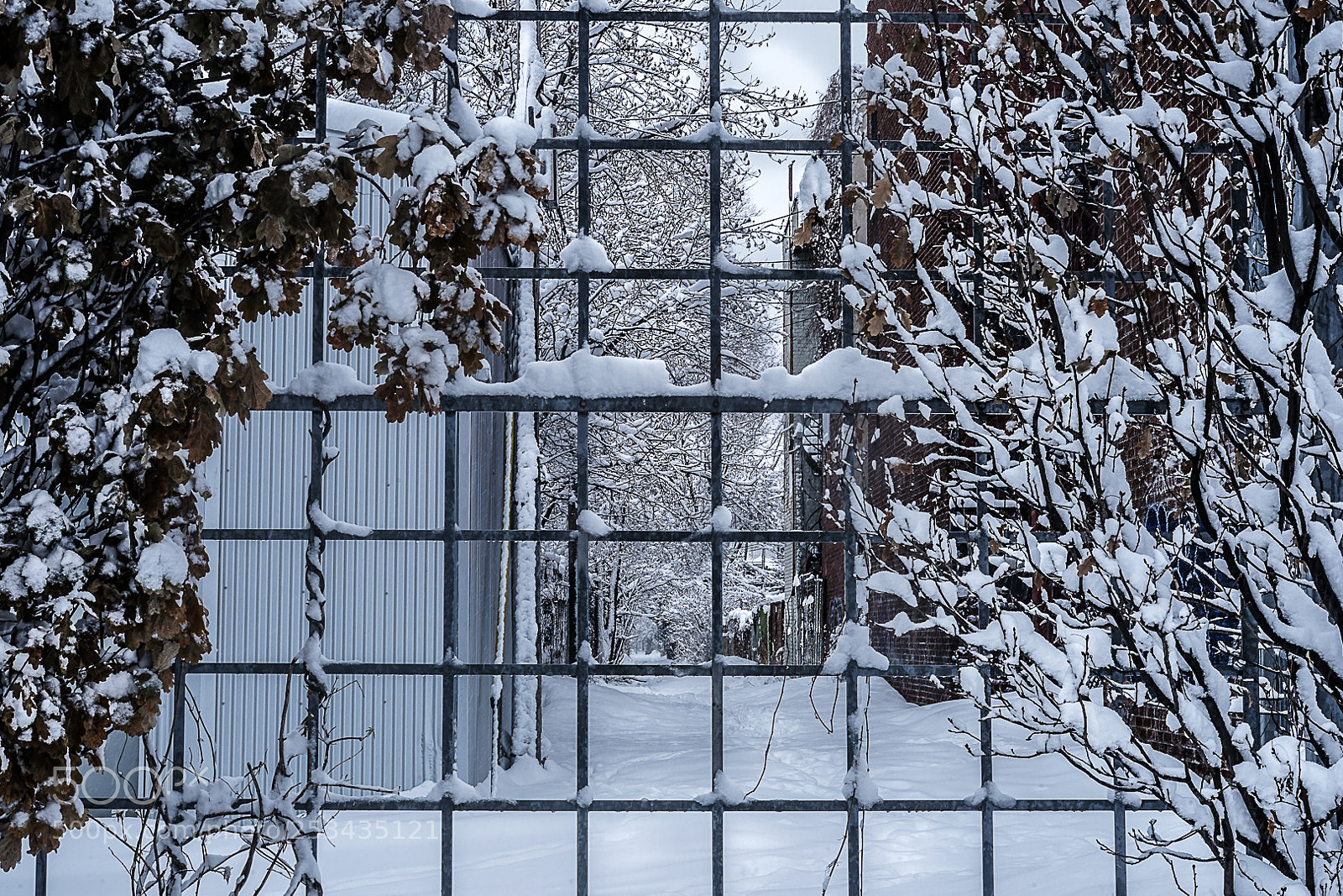 Sony a7 II sample photo. Ruelle photography