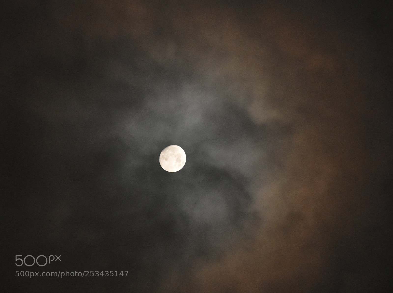 Nikon D3400 sample photo. Wolf's night photography