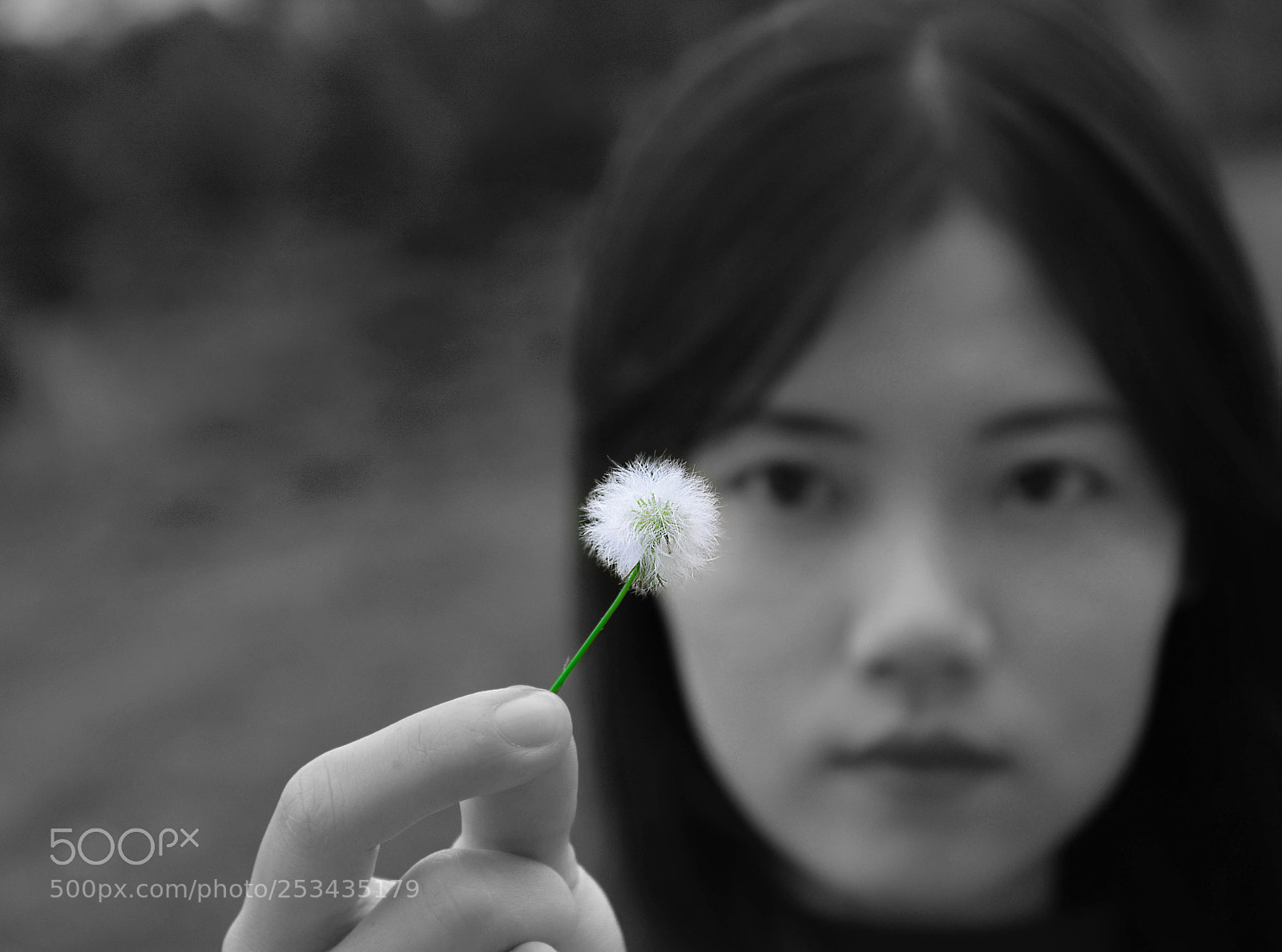 Nikon D7200 sample photo. Untitled photography