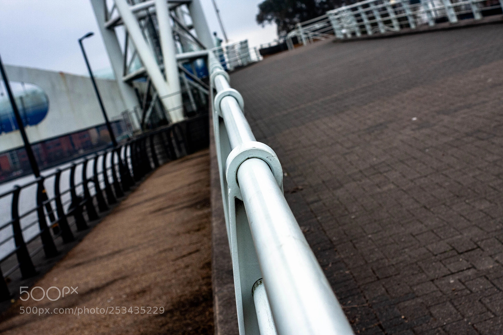 Canon EOS 40D sample photo. Img photography