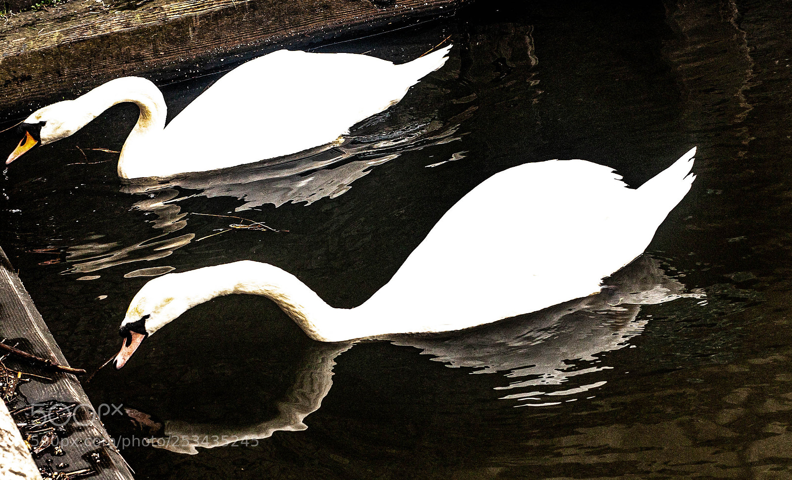 Canon EOS 40D sample photo. Edit photography