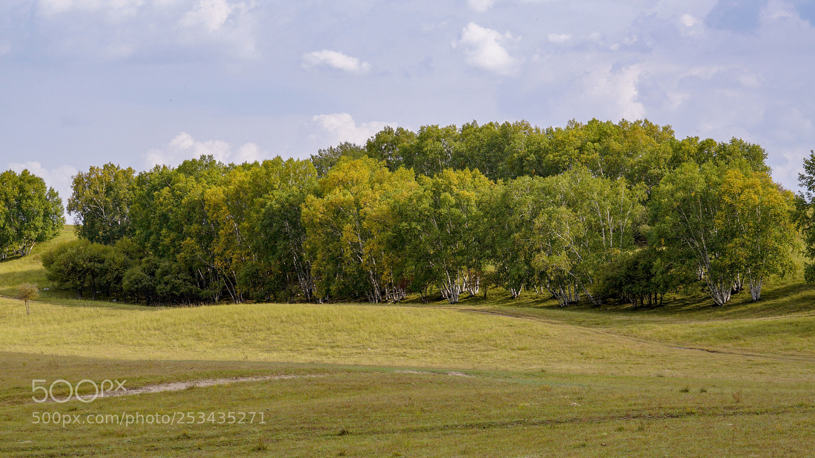 Sony a6000 sample photo. Early autumn photography
