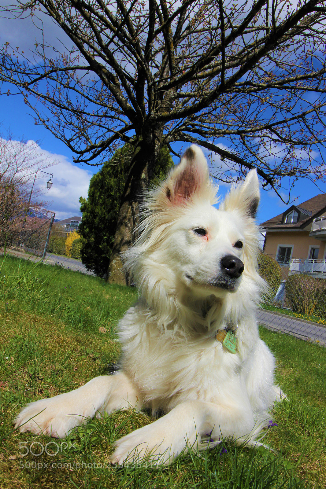 Canon EOS 60D sample photo. Bianchina photography