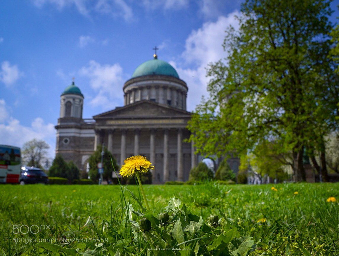Nikon D3200 sample photo. Bazilika-hungary photography