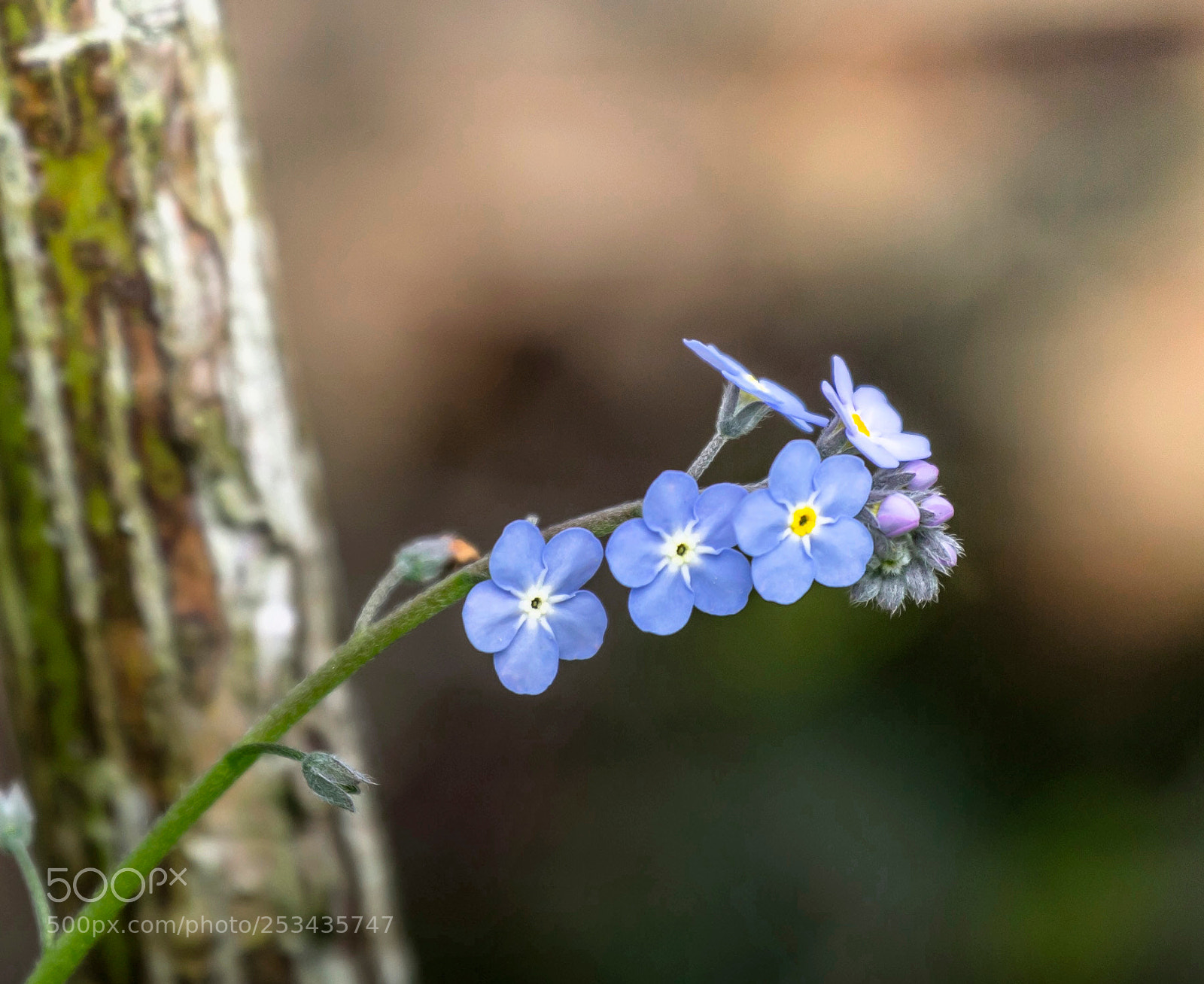 Canon EOS 60D sample photo. Simplement photography