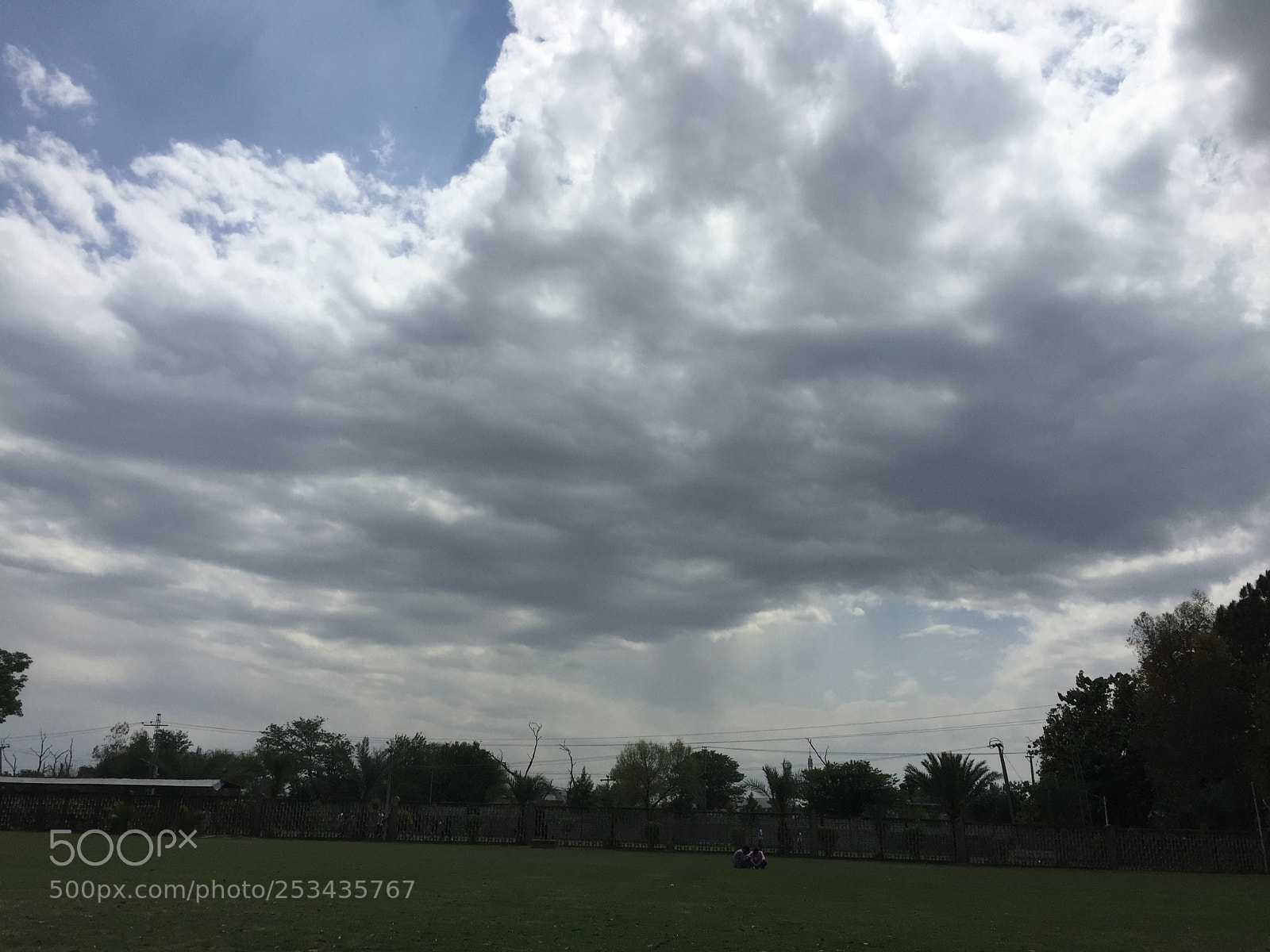 Apple iPhone 6 sample photo. Untitled photography