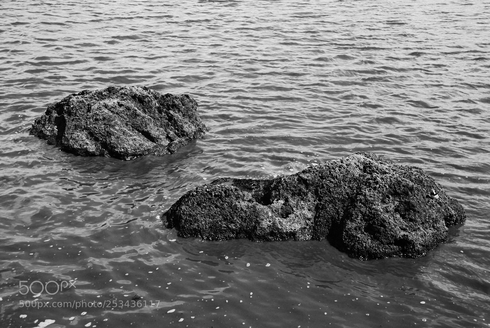 Nikon D80 sample photo. Rochas photography