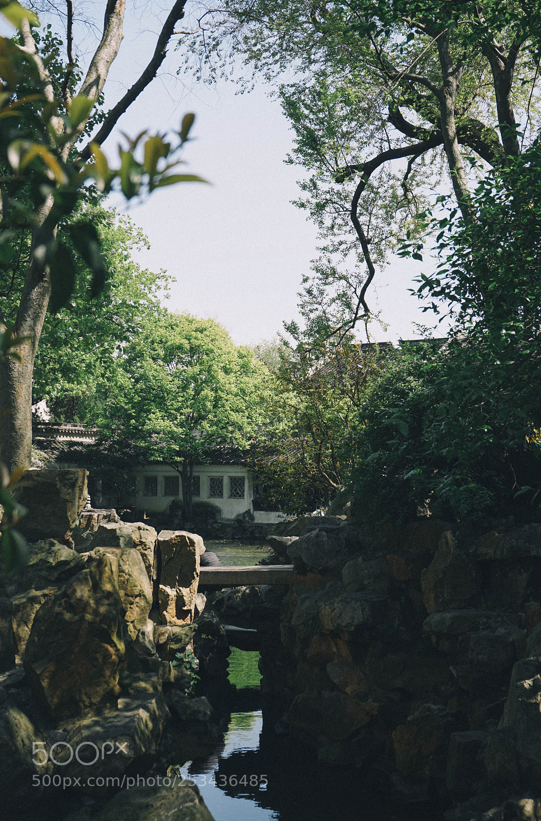 Sony a7 II sample photo. Dsc photography