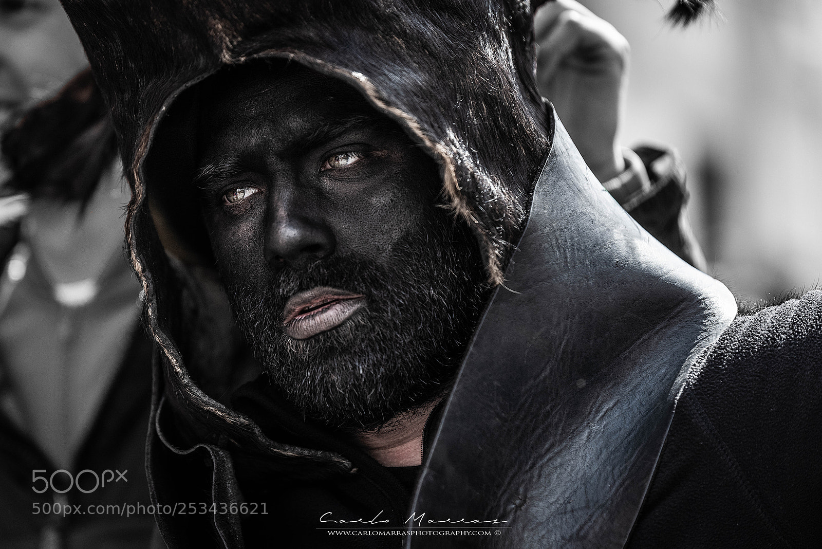 Nikon D810 sample photo. Bois photography