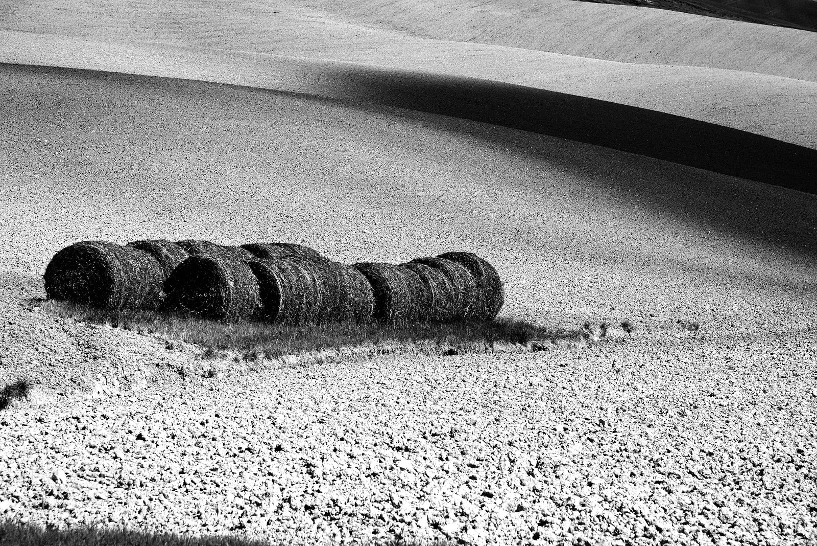 Nikon D800 sample photo. Hay bales on the photography