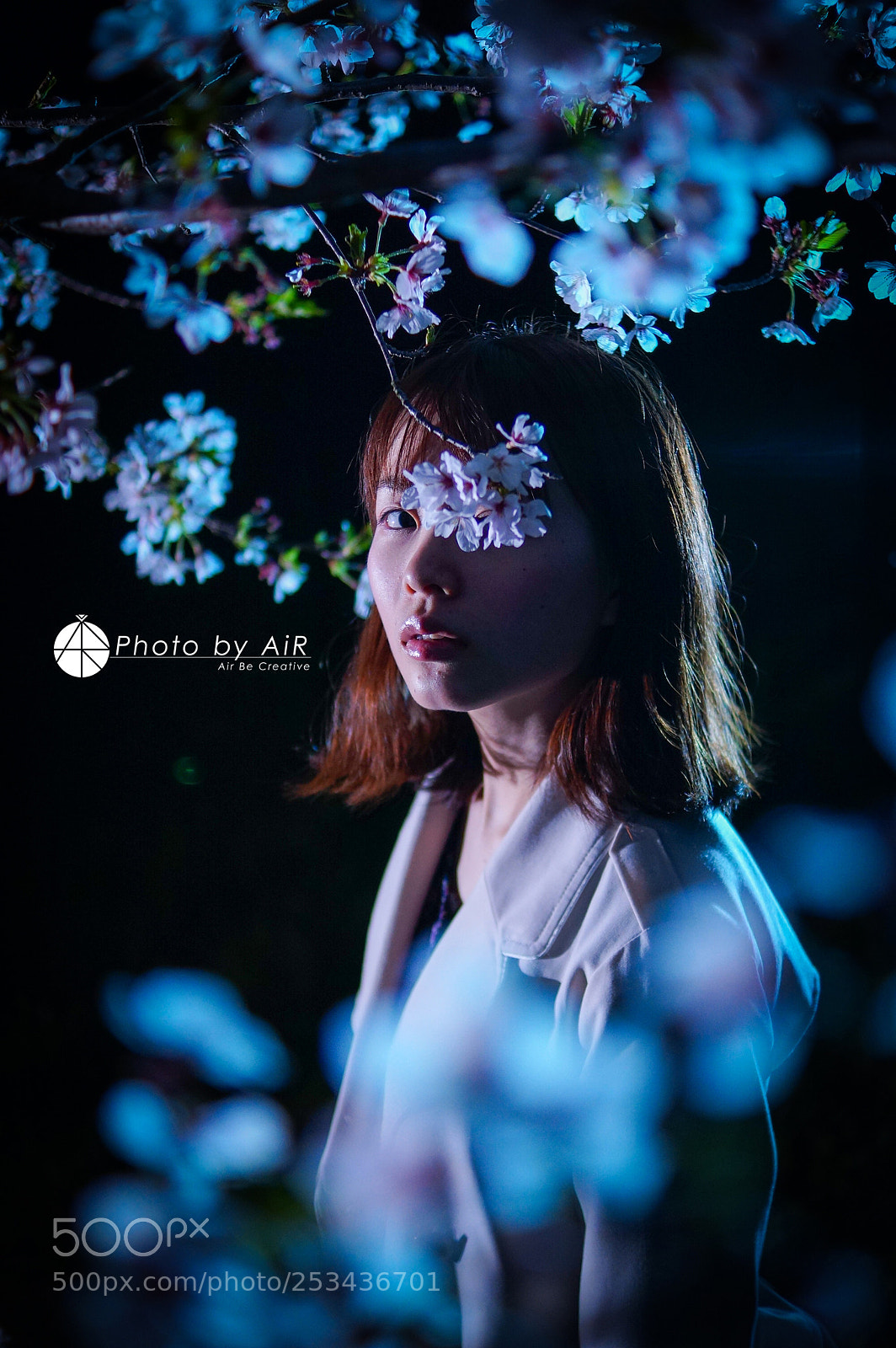 Sony SLT-A77 sample photo. Spring night photography