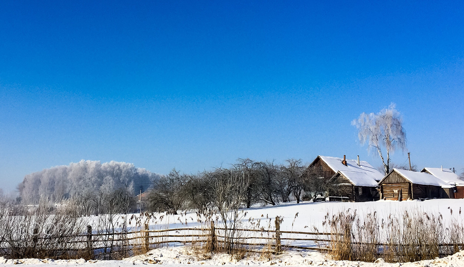 Apple iPhone 6 Plus sample photo. Winter in belarus photography