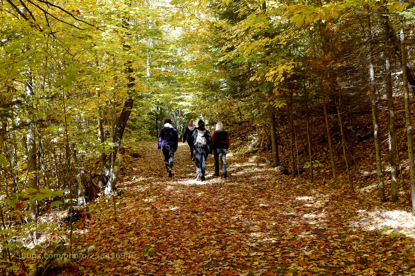 Leica Q (Typ 116) sample photo. Colored pathway photography