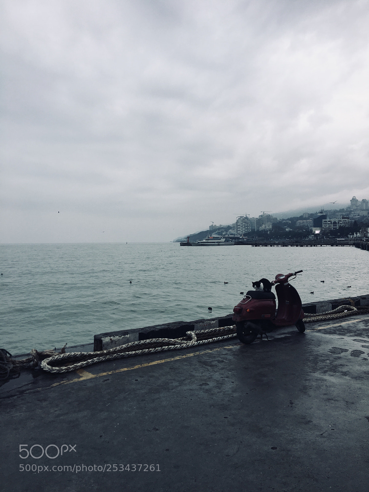 Apple iPhone 6s sample photo. Yalta  photography