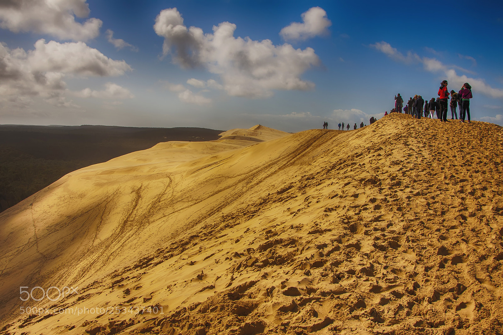 Canon EOS 50D sample photo. Dune du pilat photography