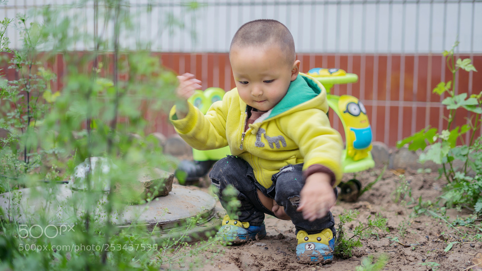 Sony a7 II sample photo. Untitled photography