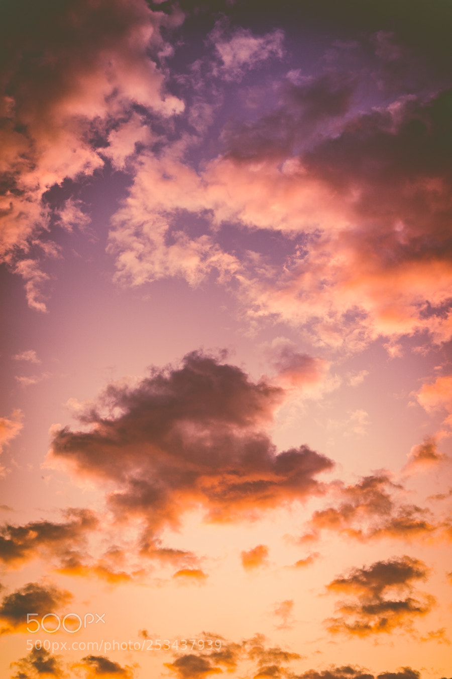 Sony a7 II sample photo. Beautiful colors and shades photography