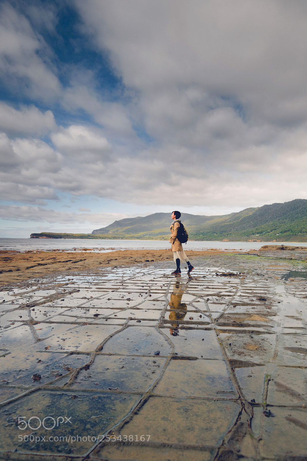 Nikon D850 sample photo. Tessellated pavement photography