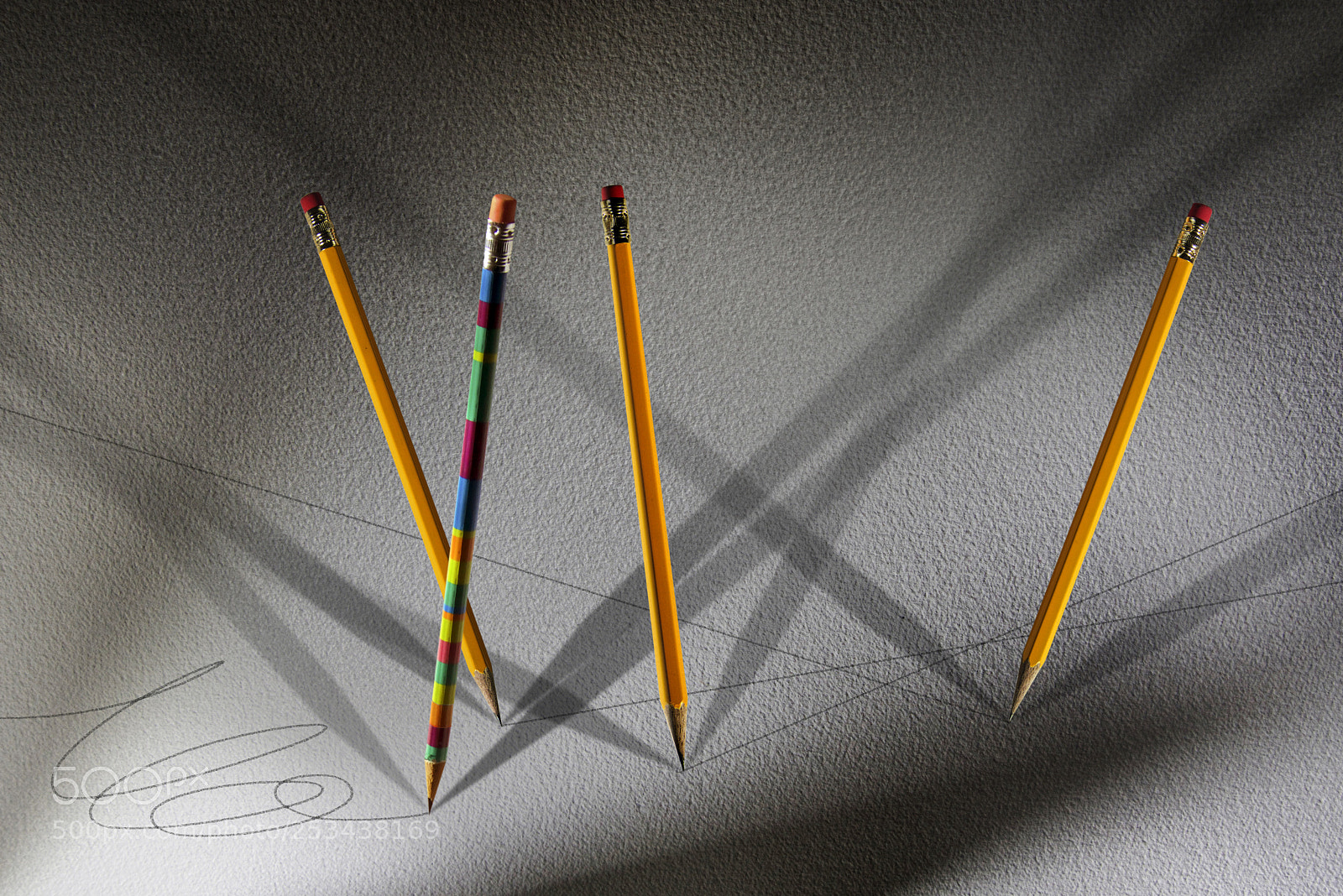 Nikon D810 sample photo. It's showtime! photography