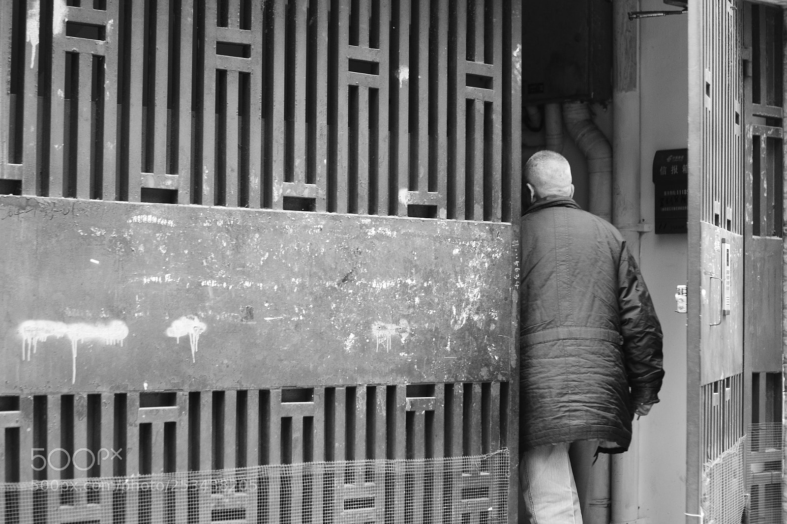 Nikon D3100 sample photo. The view of back photography