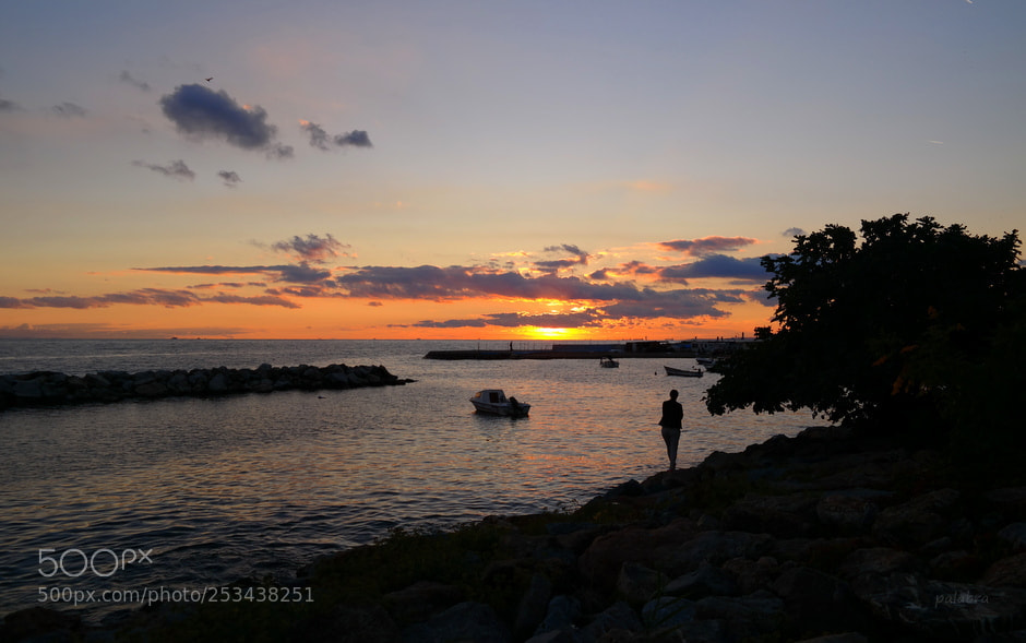 Samsung NX30 sample photo. ... photography