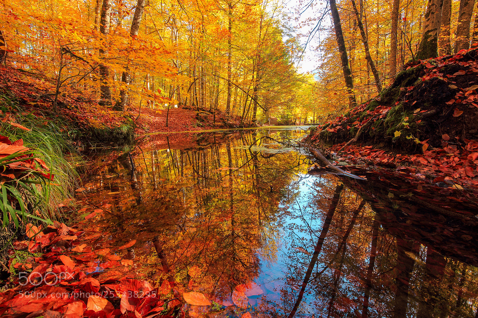 Canon EOS 6D sample photo. Autumn colours (sonbahar renkleri) photography