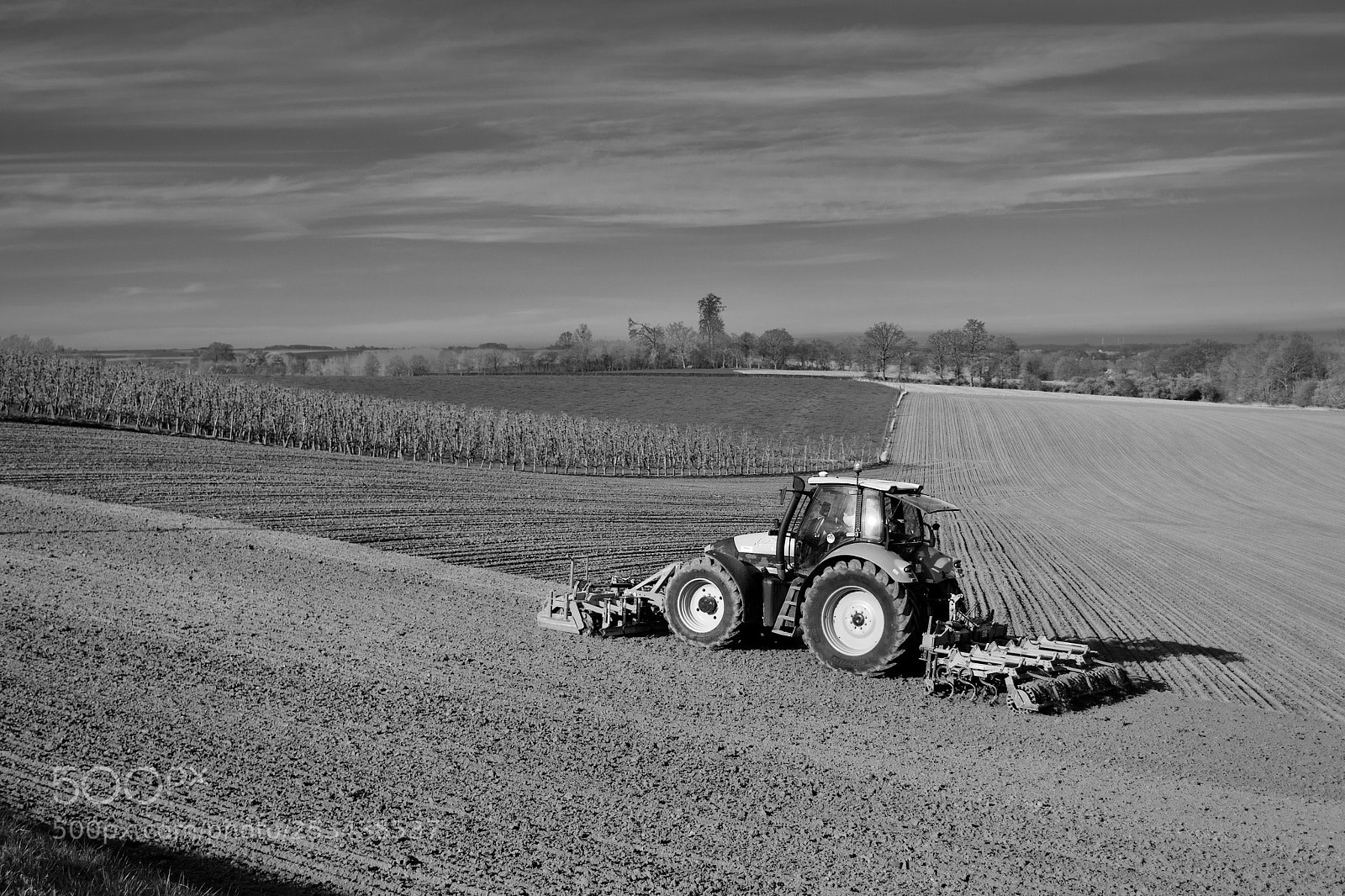 Nikon D3100 sample photo. Preparing the field photography