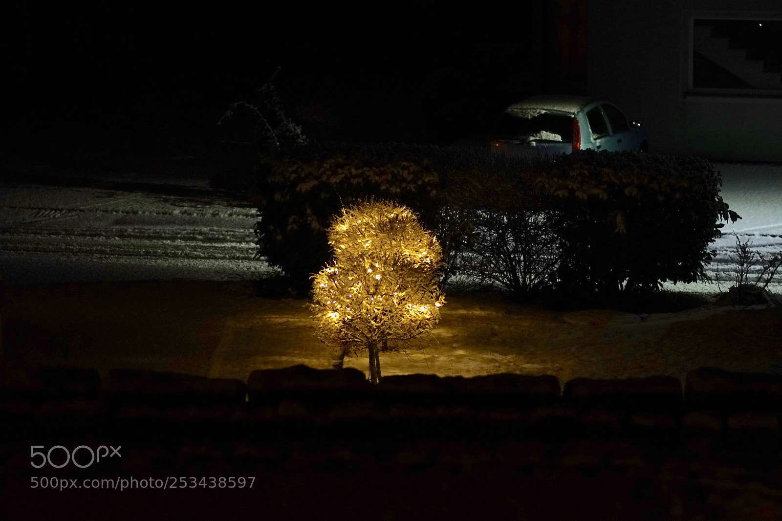 Sony SLT-A68 sample photo. Untitled photography