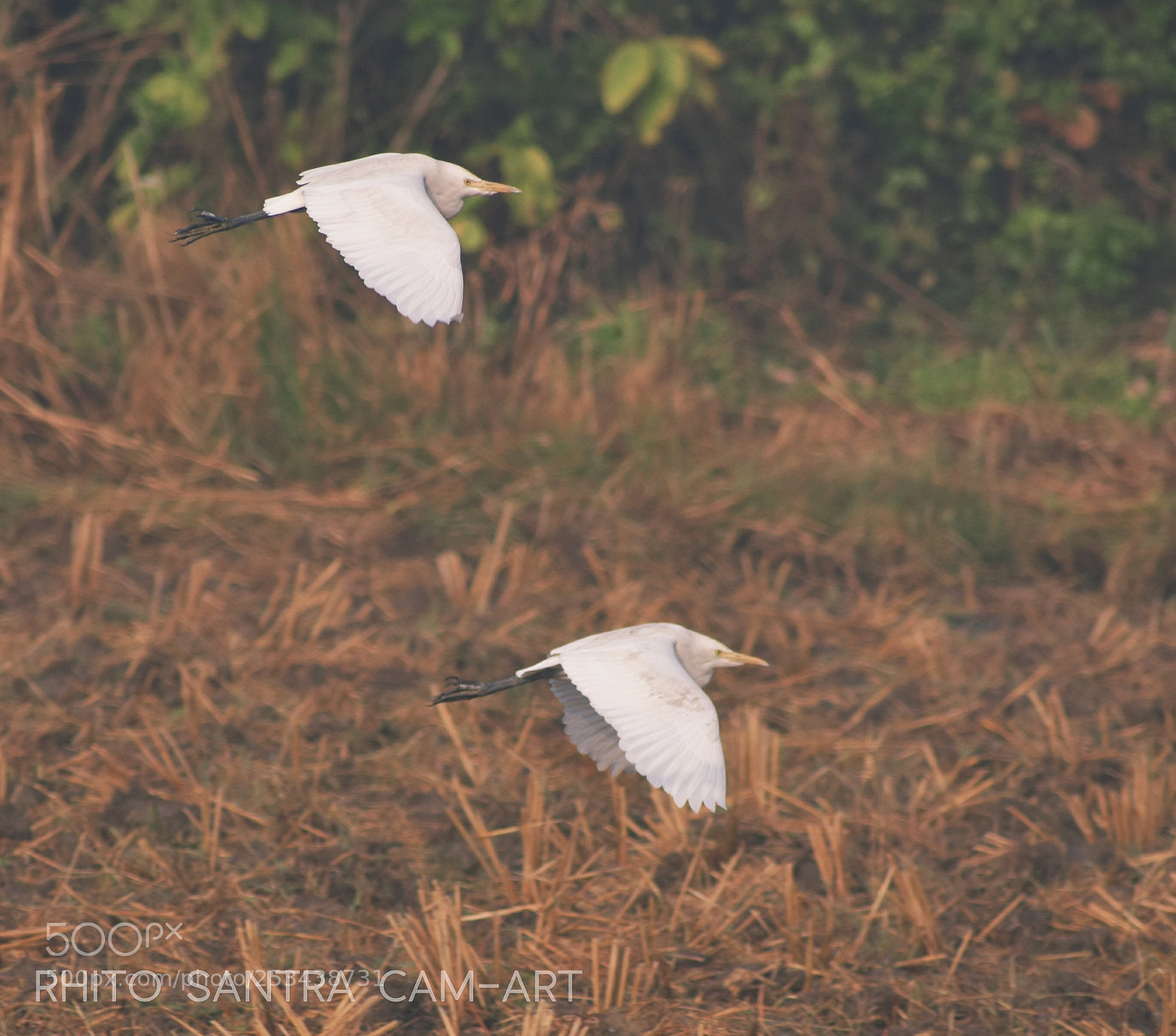 Nikon D3400 sample photo. Phase clash photography