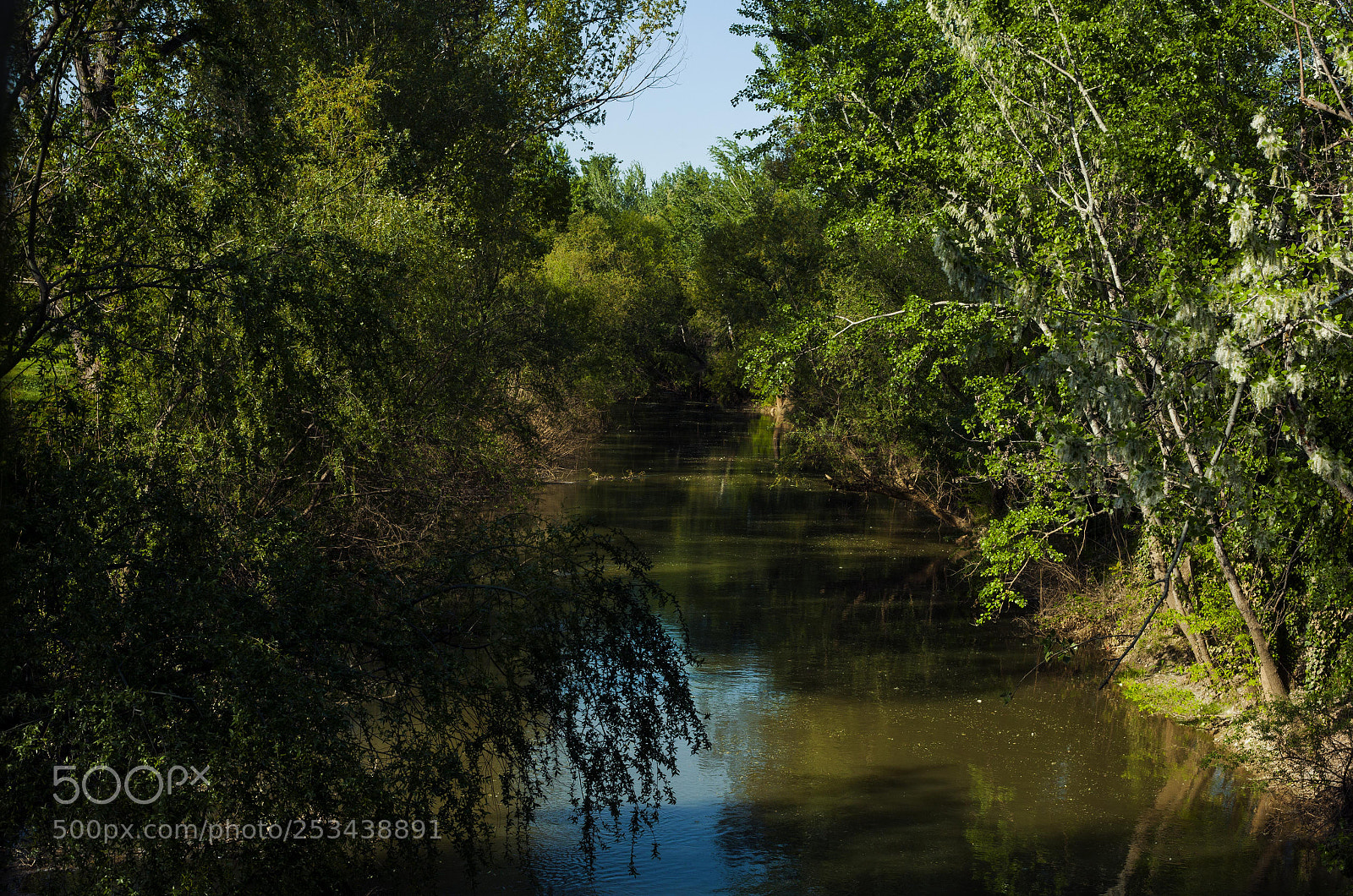 Canon EOS 5D Mark II sample photo. Pinios river photography