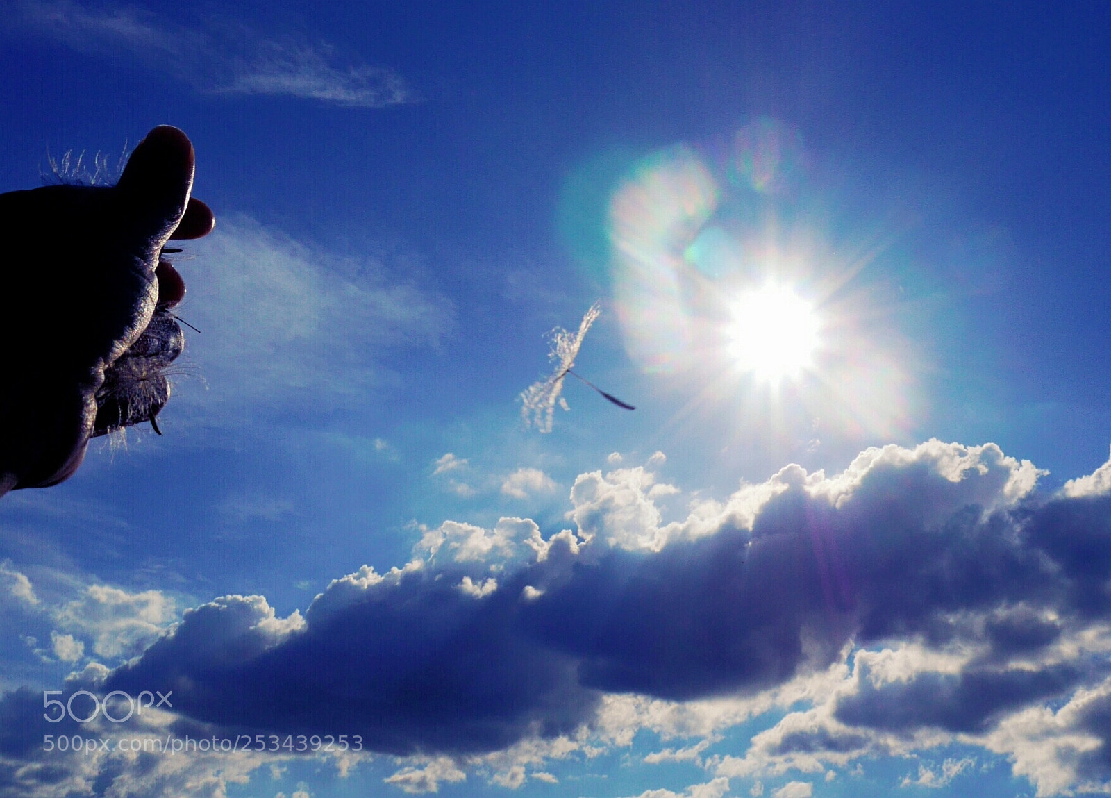 Panasonic Lumix DMC-G6 sample photo. ...if dreams fly away... photography
