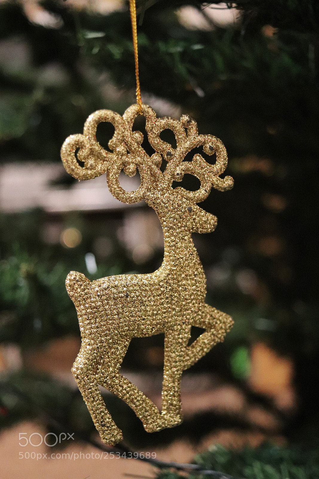 Canon EOS 200D (EOS Rebel SL2 / EOS Kiss X9) sample photo. Christmas gold deer photography