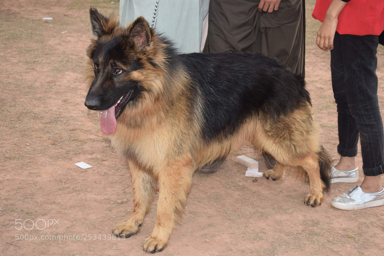 Nikon D5300 sample photo. Dsc photography