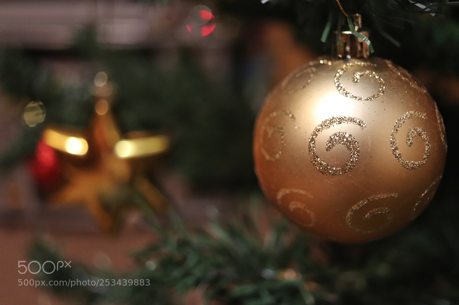 Canon EOS 200D (EOS Rebel SL2 / EOS Kiss X9) sample photo. Gold time of the photography