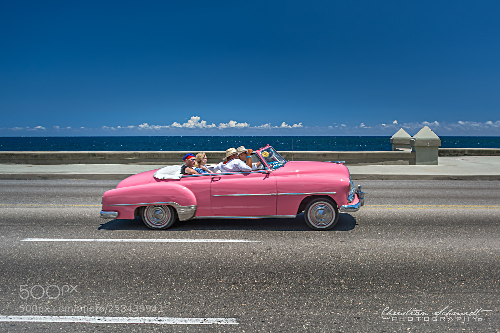 Nikon D7100 sample photo. Pretty in pink photography